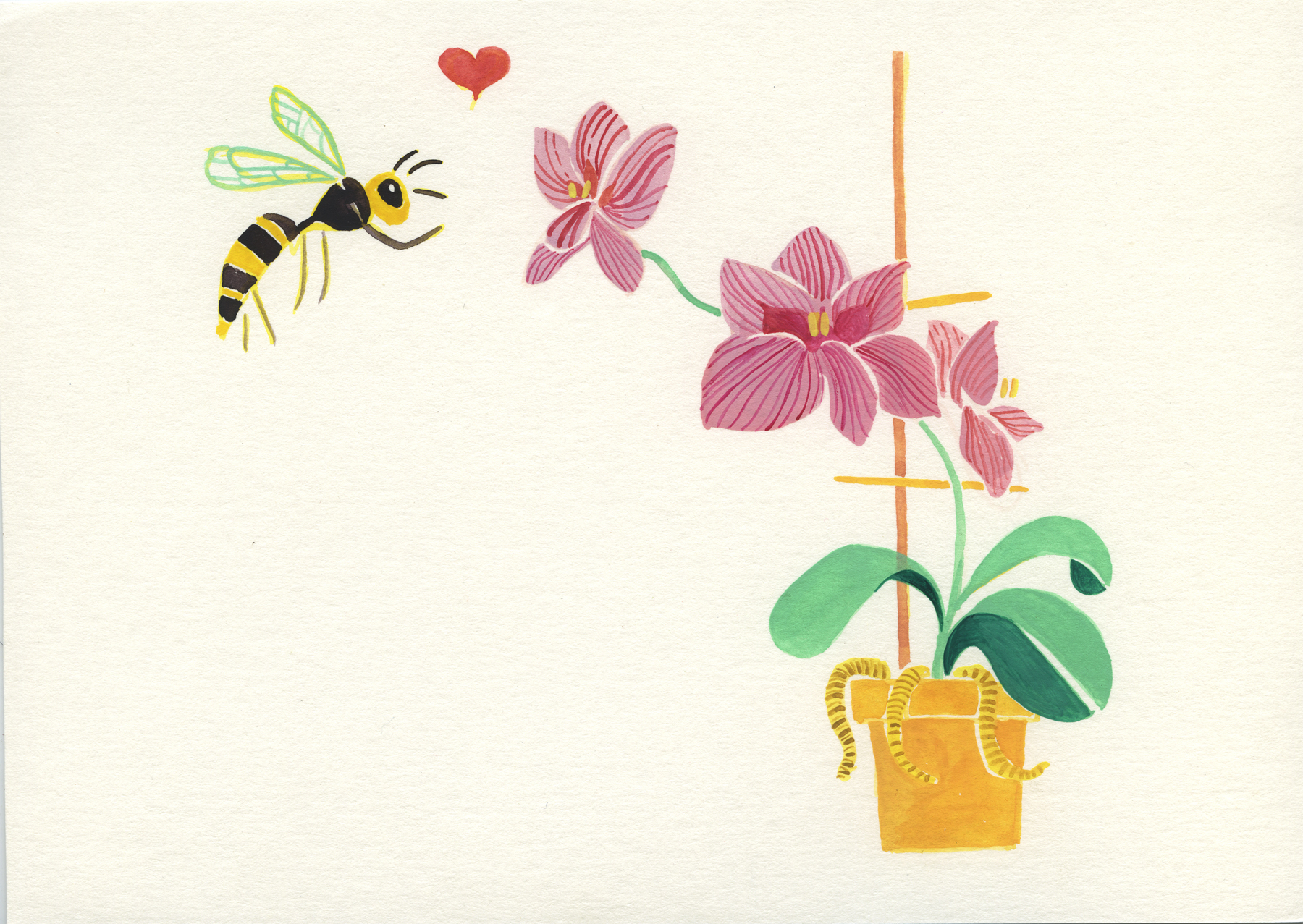 File:Bee-dance-maggie-nichols.jpg