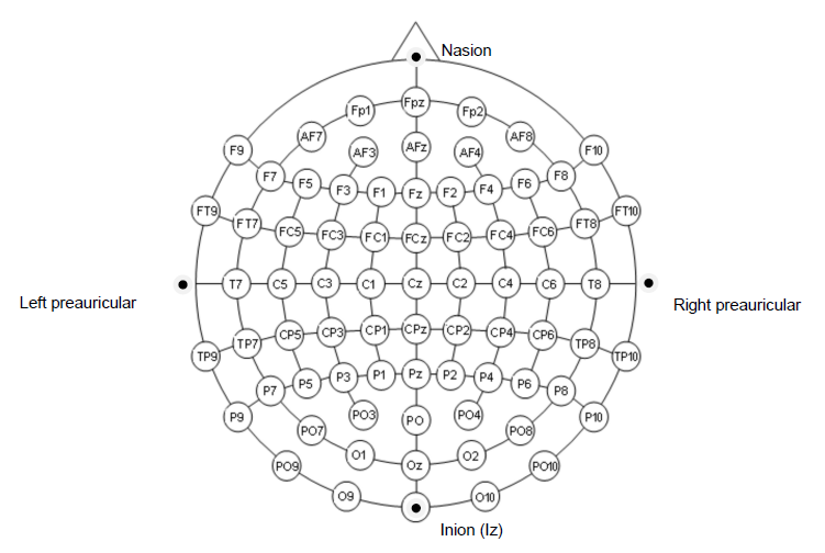File:Mount eeg 10 20 system.png